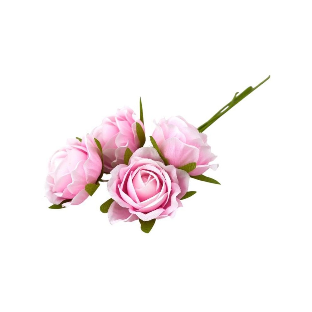 ROSA SFUMATA ROSA D4